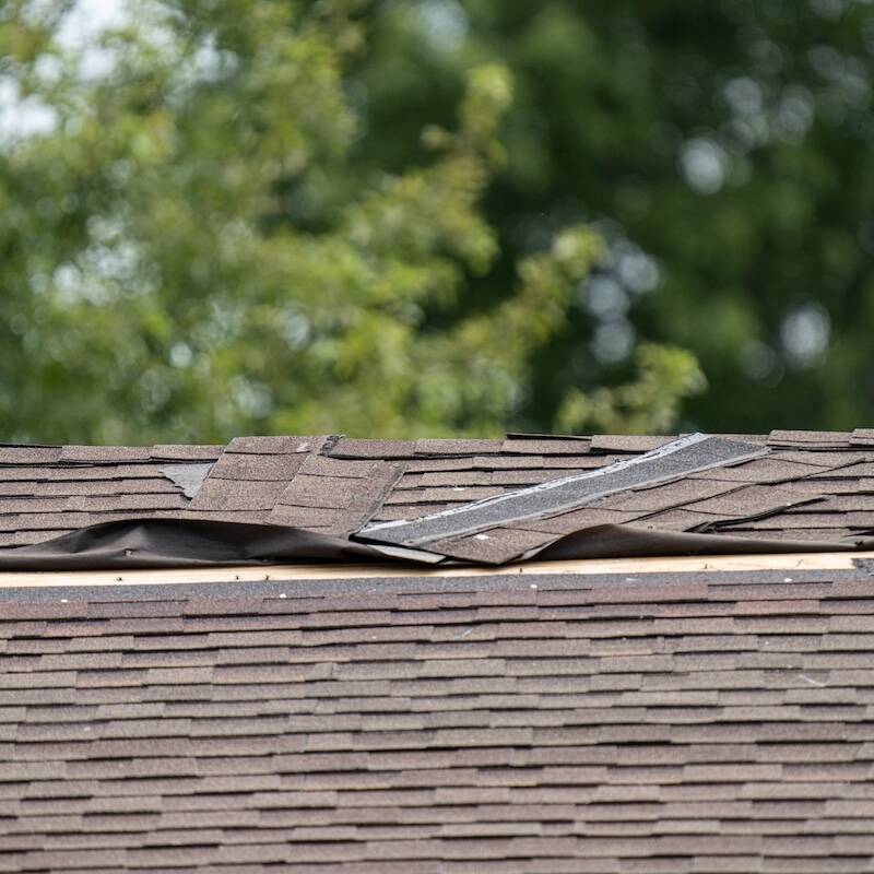 roof shingles have been damaged by high winds and strong storms